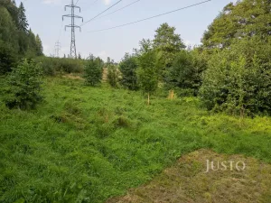 Prodej louky, Liberec - Liberec I-Staré Město, 6759 m2