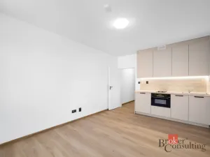 Pronájem bytu 1+kk, Brno - Zábrdovice, Bratislavská, 26 m2