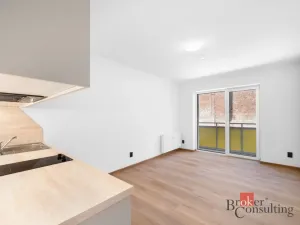 Pronájem bytu 1+kk, Brno - Zábrdovice, Bratislavská, 26 m2