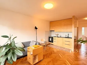 Pronájem bytu 2+kk, Liberec - Liberec XXX-Vratislavice nad Nisou, Dlážděná, 44 m2