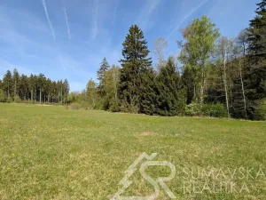 Prodej pozemku, Soběšice, 8869 m2