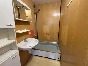 Prodej bytu 2+kk, České Budějovice, K. Štěcha, 48 m2