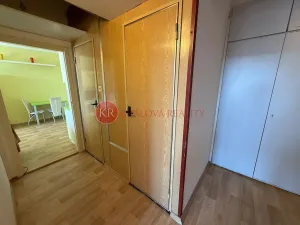 Prodej bytu 2+kk, České Budějovice, K. Štěcha, 48 m2