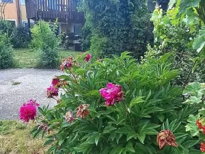 Prodej rodinného domu, Tišice, Hasičská, 150 m2