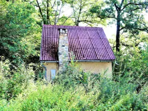 Prodej chaty, Kamenný Újezd - Rančice, 50 m2