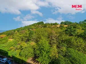 Prodej bytu 3+1, Ústí nad Labem - Severní Terasa, Brandtova, 80 m2