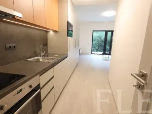 Pronájem bytu 1+kk, Praha - Žižkov, Hartigova, 48 m2