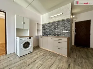 Prodej bytu 1+1, Karlovy Vary - Rybáře, Chomutovská, 38 m2