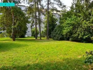 Pronájem bytu 1+1, Olomouc, Masarykova třída, 38 m2