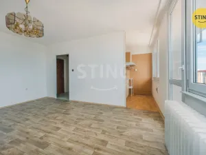 Prodej bytu 1+kk, Pardubice, Brožíkova, 37 m2