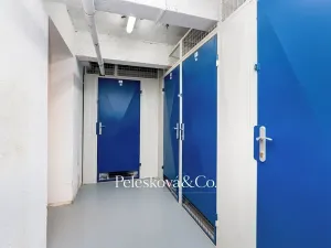 Prodej bytu 4+kk, Praha - Žižkov, Viklefova, 100 m2