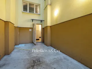Prodej bytu 3+kk, Praha - Žižkov, Viklefova, 100 m2