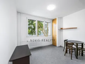 Pronájem bytu 1+kk, Plzeň, Čermákova, 22 m2