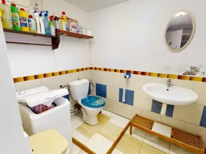 Prodej rodinného domu, Raná, 148 m2