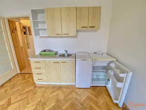 Pronájem bytu 1+kk, Praha - Nusle, Na Vítězné pláni, 23 m2