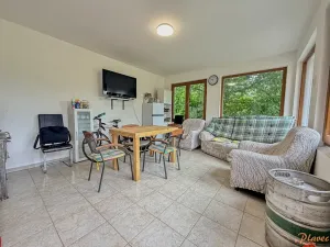 Pronájem obchodního prostoru, Holubice, 22 m2