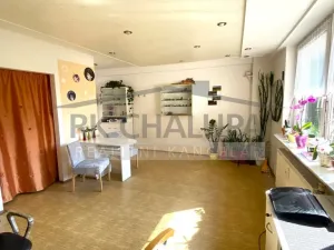 Prodej bytu 1+kk, České Budějovice - České Budějovice 2, Ant. Barcala, 32 m2
