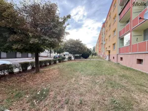 Pronájem bytu 2+1, Duchcov, Sadová, 50 m2