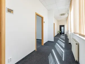 Pronájem kanceláře, Praha - Strašnice, V olšinách, 38 m2
