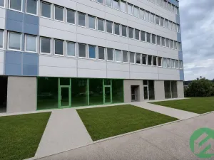 Pronájem obchodního prostoru, Praha - Strašnice, V olšinách, 154 m2
