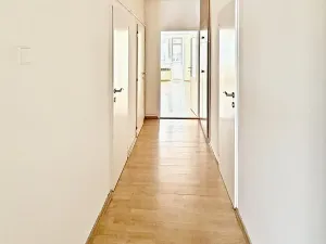 Prodej bytu 2+kk, Praha - Nusle, Kloboučnická, 60 m2