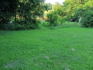 Prodej pozemku pro bydlení, Světlá Hora - Dětřichovice, 3506 m2