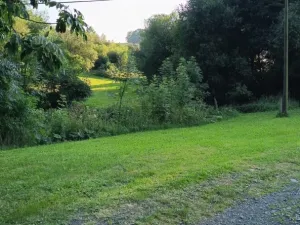 Prodej pozemku pro bydlení, Světlá Hora - Dětřichovice, 3506 m2