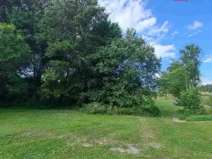 Prodej pozemku pro bydlení, Světlá Hora - Dětřichovice, 3506 m2