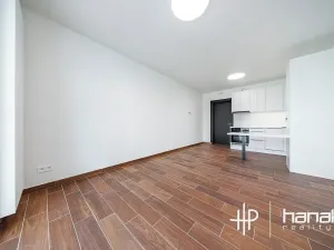 Pronájem bytu 1+kk, Olomouc, Třída Jiřího Pelikána, 33 m2