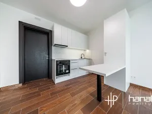 Pronájem bytu 1+kk, Olomouc, Třída Jiřího Pelikána, 33 m2