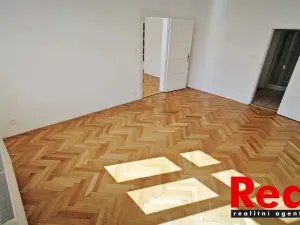 Pronájem bytu 3+1, Brno - Veveří, Čápkova, 108 m2