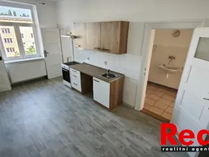 Pronájem bytu 3+1, Brno - Veveří, Čápkova, 108 m2