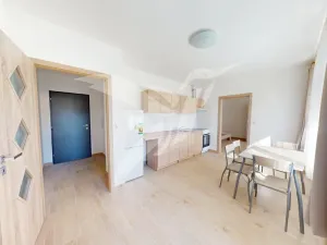 Pronájem bytu 2+kk, Dnešice, Dnešice, 40 m2