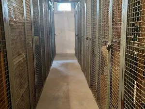 Prodej bytu 3+kk, Čelákovice, Na Stráni, 62 m2