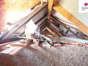 Prodej vícegeneračního domu, Telč - Telč-Podolí, Tyršova, 432 m2