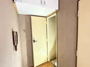 Prodej bytu 1+1, Brno, Nejedlého, 38 m2