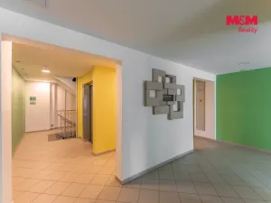 Prodej bytu 1+kk, Praha - Žižkov, Za žižkovskou vozovnou, 43 m2
