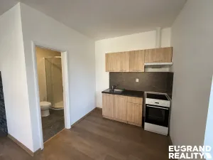 Pronájem bytu 1+kk, Dolní Poustevna, Karlínská, 35 m2