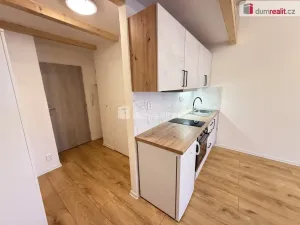 Pronájem bytu 1+kk, Praha - Smíchov, Na Valentince, 42 m2