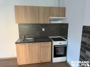 Pronájem bytu 1+kk, Dolní Poustevna, Karlínská, 35 m2