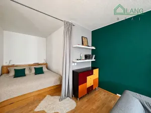 Pronájem bytu 1+kk, Brno, Kristenova, 58 m2
