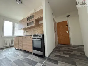 Pronájem bytu 3+1, Bílina - Teplické Předměstí, Sídliště Za Chlumem, 66 m2