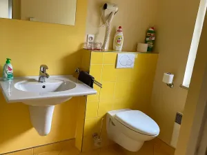 Prodej ubytování, Frýdlant nad Ostravicí, Harcovská, 500 m2