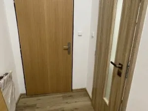 Pronájem bytu 2+1, Praha, Bořivojova, 72 m2