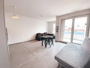 Pronájem bytu 1+kk, Praha - Žižkov, Olgy Havlové, 45 m2