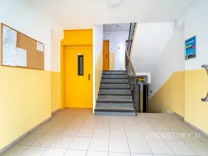 Pronájem bytu 1+1, Kolín, Na Magistrále, 30 m2