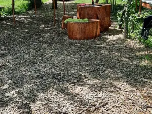 Prodej rybníku, Bulhary, 350 m2