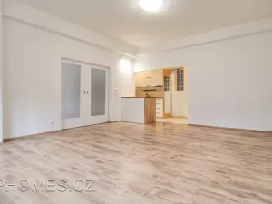 Pronájem bytu 2+kk, Praha - Žižkov, Biskupcova, 46 m2