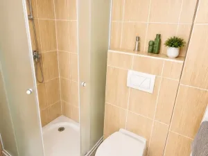 Pronájem bytu 1+kk, Olomouc, Ztracená, 35 m2