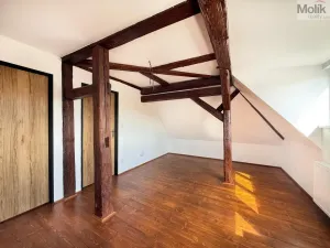 Pronájem bytu 3+kk, Osek, Tovární, 54 m2